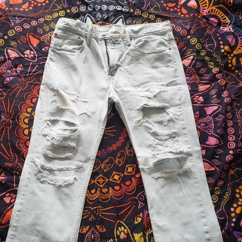 2/$20 Levi's Jeans (men's ripped)